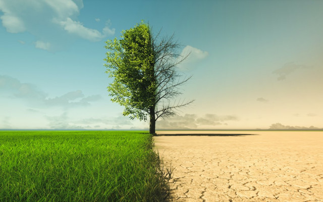 Slika travnika ki prikazuje podnebne spremembe od suse do zelene rasti 11042023