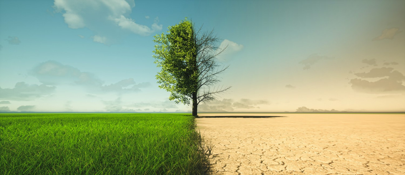 Slika travnika ki prikazuje podnebne spremembe od suse do zelene rasti 11042023