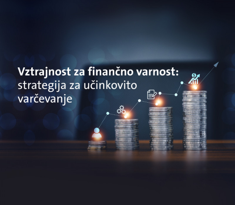 TS img Vztrajnost za financno varnost 2