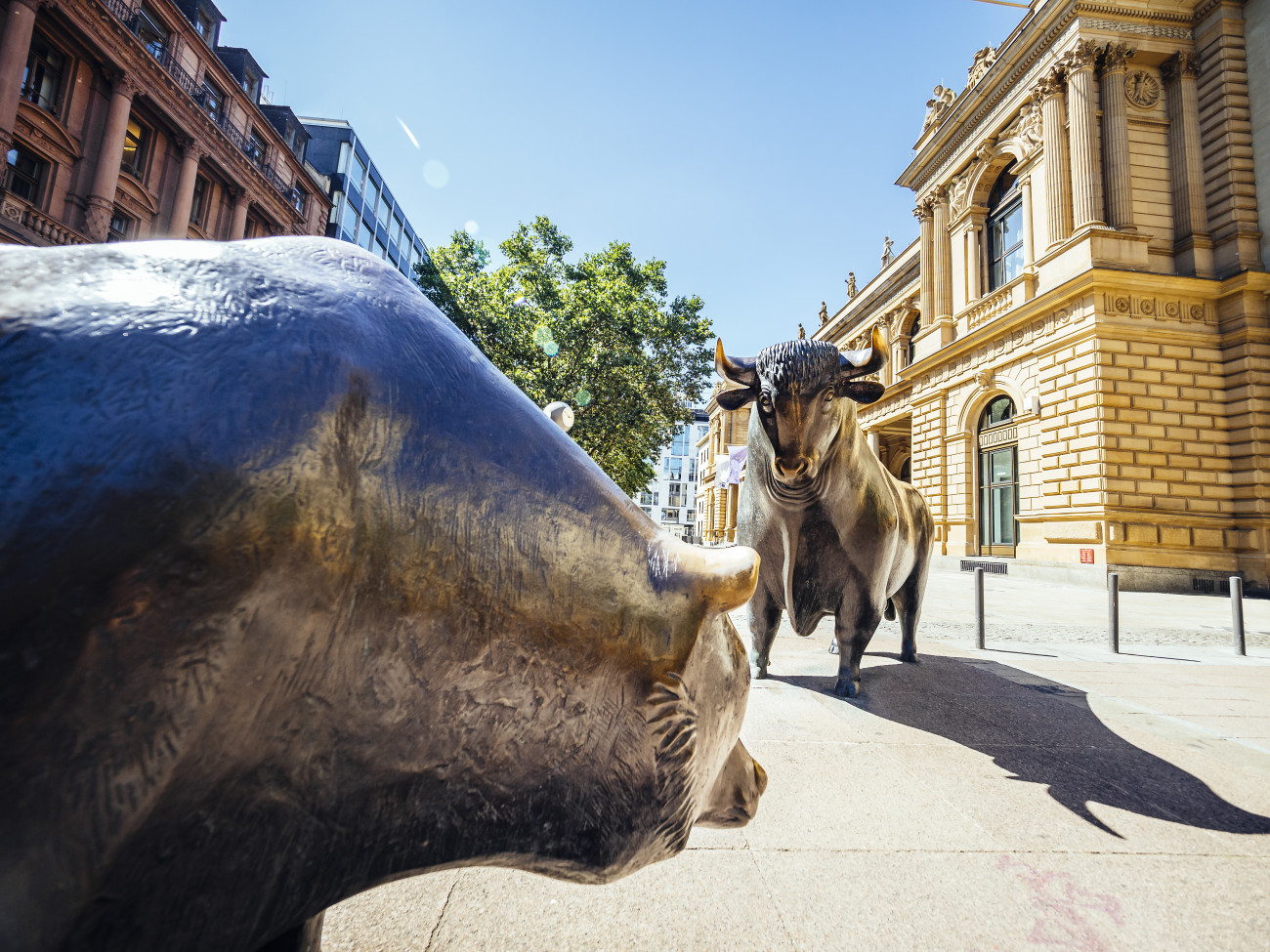frankfurt borza bik in medved