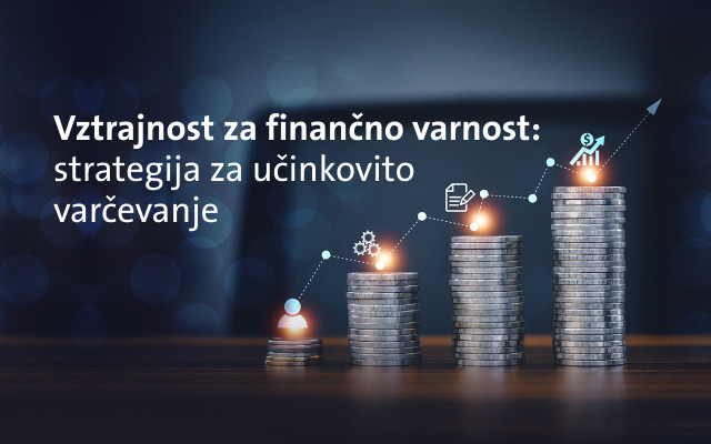 TS img Vztrajnost za financno varnost 2